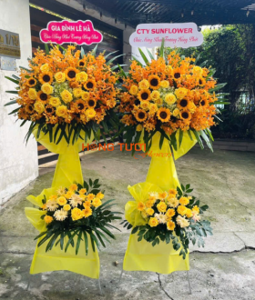 Hoa Khai Trương 29