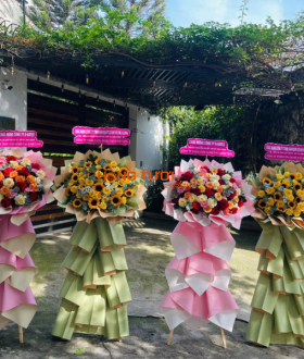 Hoa Khai Trương 30 