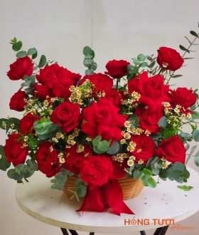 HSN001