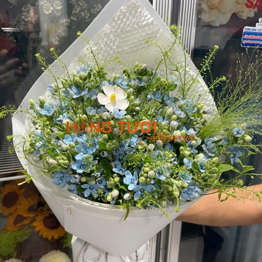 Hoa Bó 86