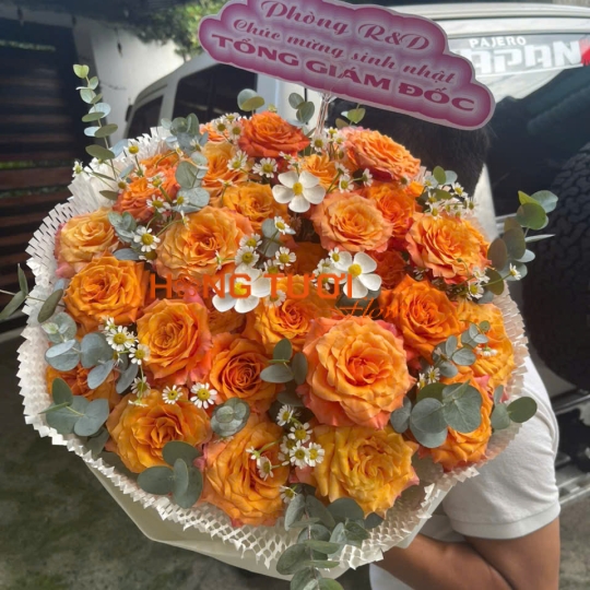 Hoa Bó 87
