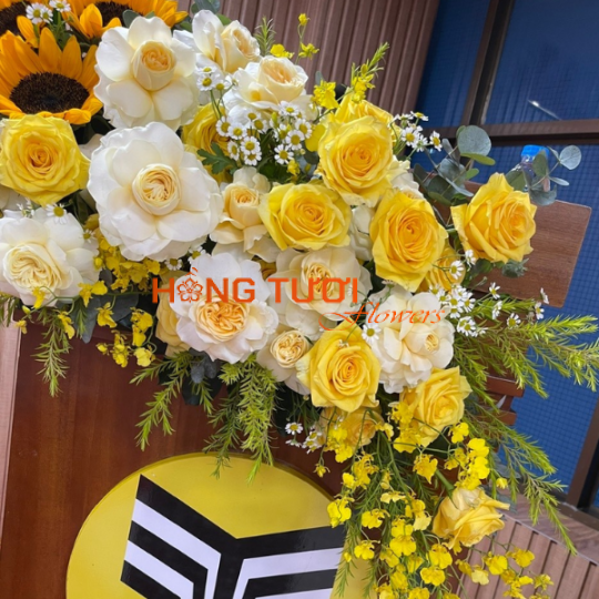 Hoa Hội Nghị 05