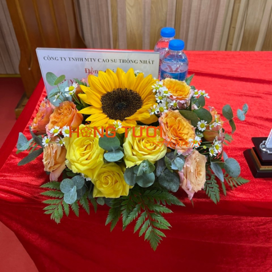 Hoa Hội Nghị 06