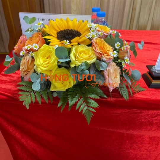 Hoa Hội Nghị 06