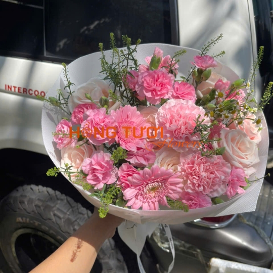 Bó Hoa Tươi Hồng Pastel Phối Đồng Tiền Và Cẩm Chướng