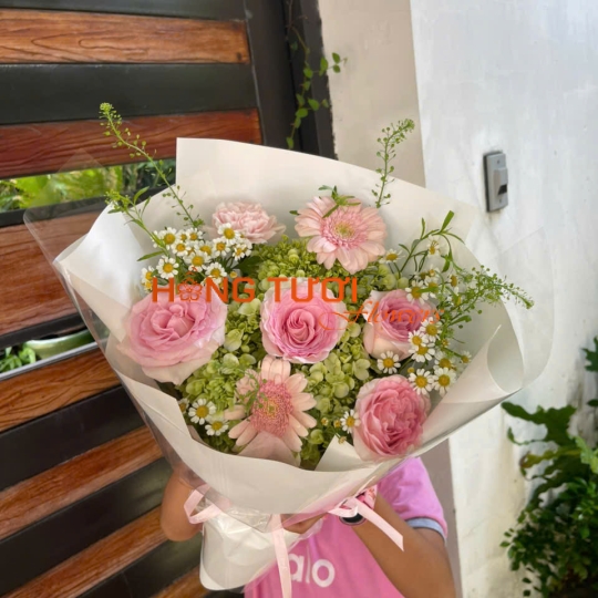 Bó Hoa Hồng Phấn Phối Đồng Tiền Và Cúc Tana