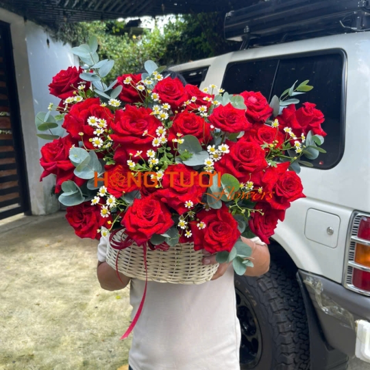 Giỏ Hoa Hồng Đỏ Phối Cúc Trắng