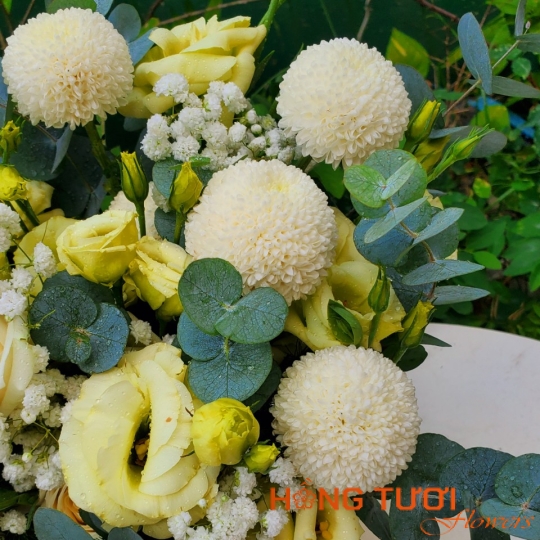 Hoa Cát Tường 01