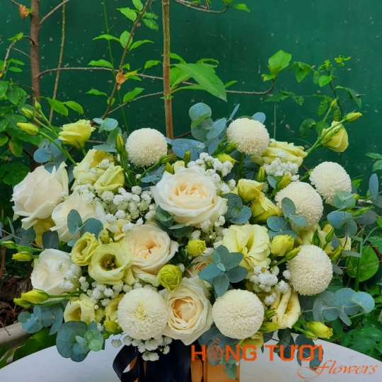 Hoa Cát Tường 01