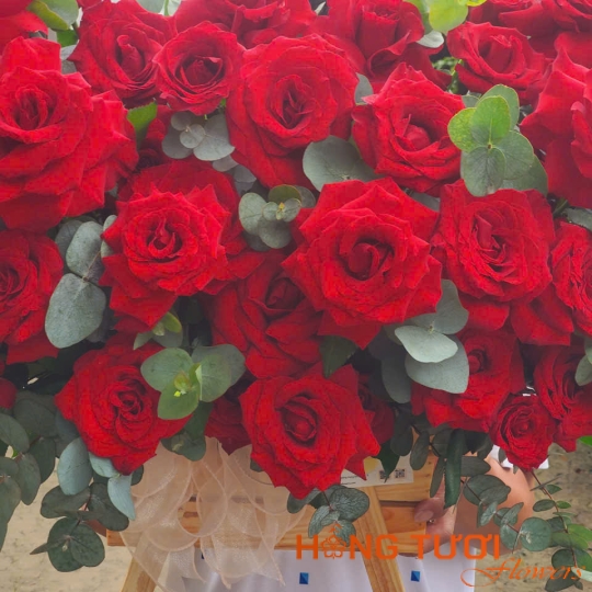 Hoa Sinh Nhật 07